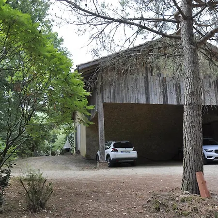 Magnifique De Campagne * Panjas