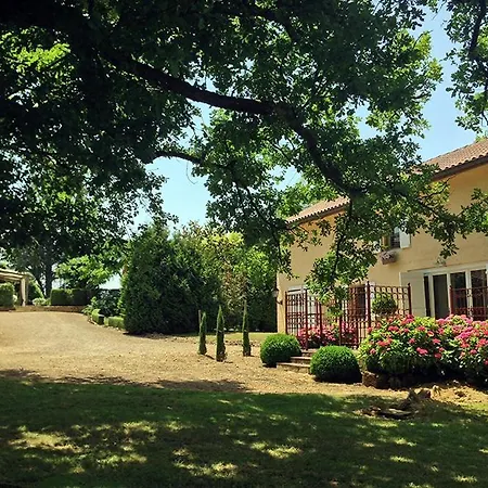 Magnifique De Campagne * Panjas